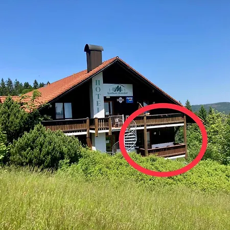 Apartment Aotearoa - Mountain In Bavaria, Mitterdorf - *