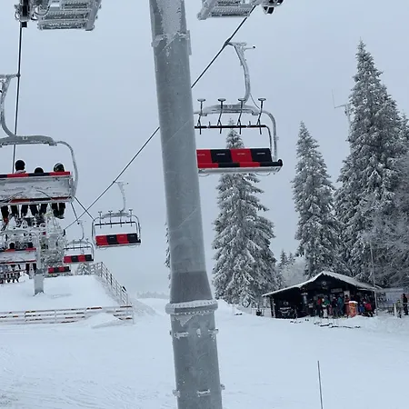 Aotearoa - Mountain In Bavaria, Mitterdorf -