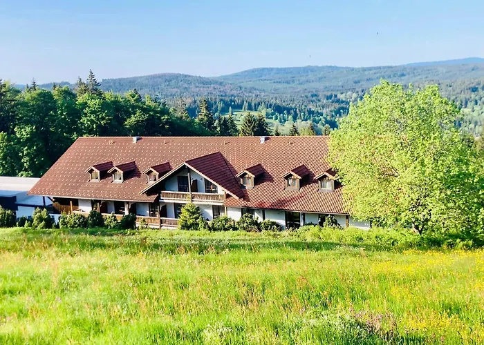 Aotearoa - Mountain In Bavaria, Mitterdorf - *