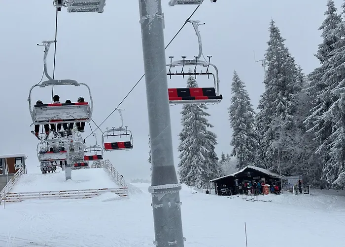 Aotearoa - Mountain In Bavaria, Mitterdorf -