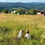 Aotearoa - Mountain In Bavaria, Mitterdorf - מיטרפרמיינסרויט