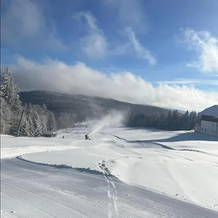 Aotearoa - Mountain In Bavaria, Mitterdorf - Apartmán