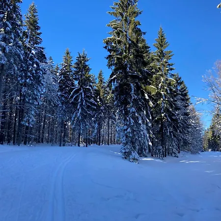 Apartamento Aotearoa - Mountain In Bavaria, Mitterdorf - *