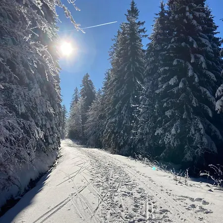 Aotearoa - Mountain In Bavaria, Mitterdorf - Apartamento *