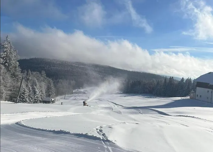 Aotearoa - Mountain In Bavaria, Mitterdorf - Apartmán