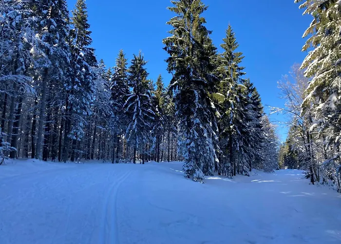 Apartmán Aotearoa - Mountain In Bavaria, Mitterdorf - *