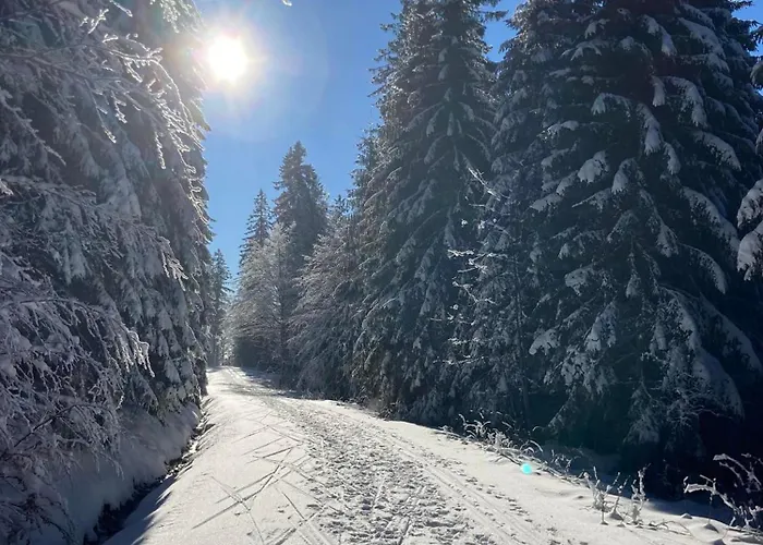 Aotearoa - Mountain In Bavaria, Mitterdorf - Apartmán *