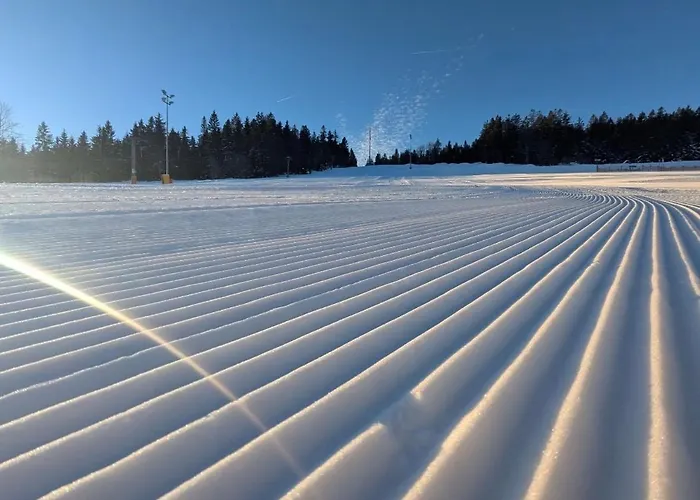 Apartmán Aotearoa - Mountain In Bavaria, Mitterdorf - Mitterfirmiansreut